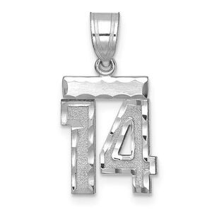 14k White Gold, Varsity Collection, Small D/C Pendant, Number 14